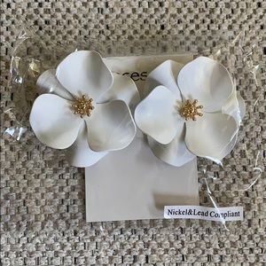 Never worn! Francesca’s earrings